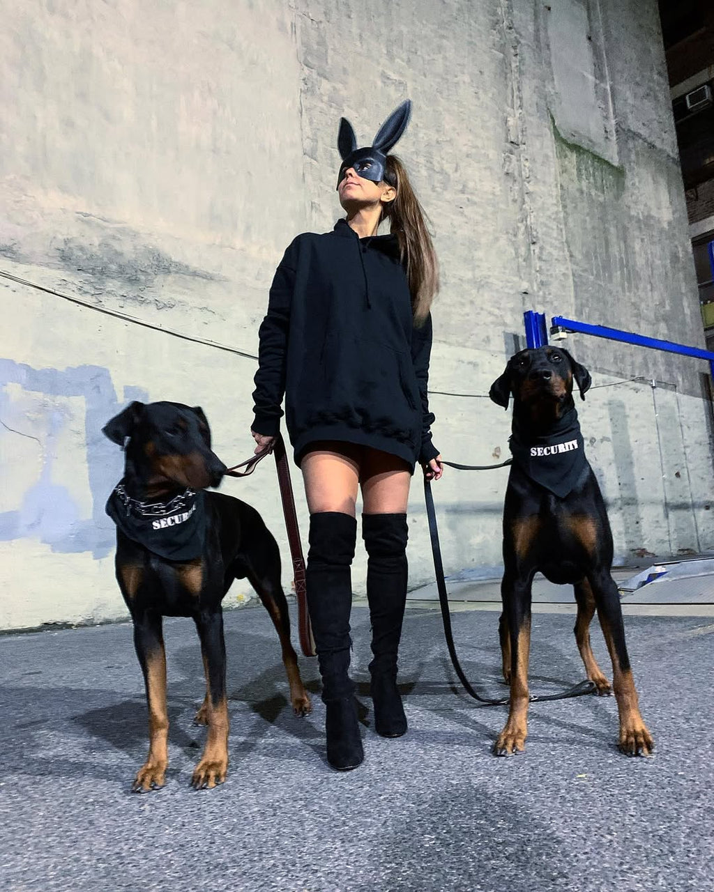 Parisian Pet 'Security®' Bandana - Comfortable, Fashionable Black Pet Bandana for Dogs & Cats, Trendy and Durable Pet Accessory