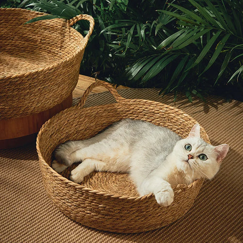 Breezy Rattan Retreat – Cool Weave Basket Bed for Cats and Small Dogs