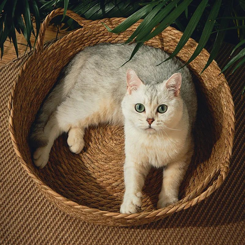 Breezy Rattan Retreat – Cool Weave Basket Bed for Cats and Small Dogs
