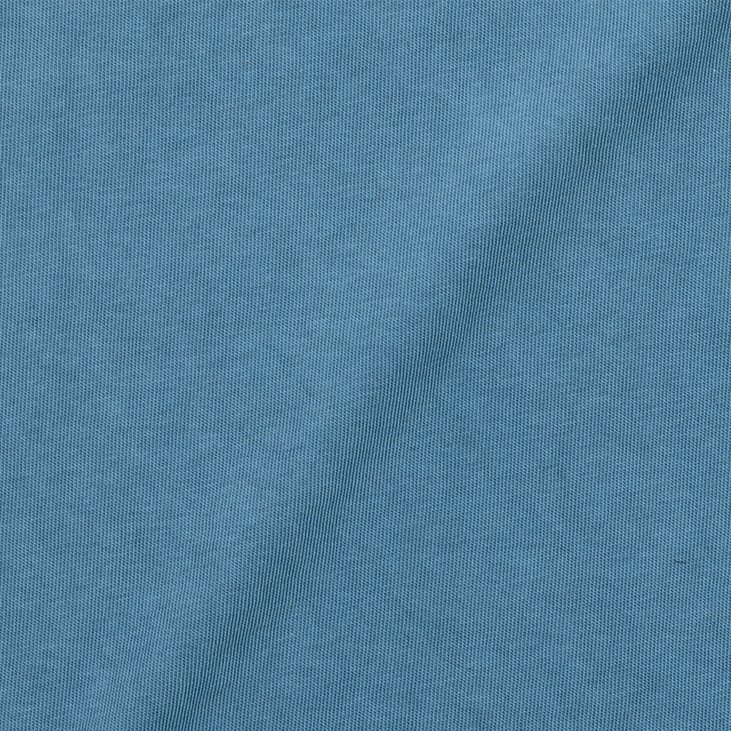 Heavyweight Pigment Tee