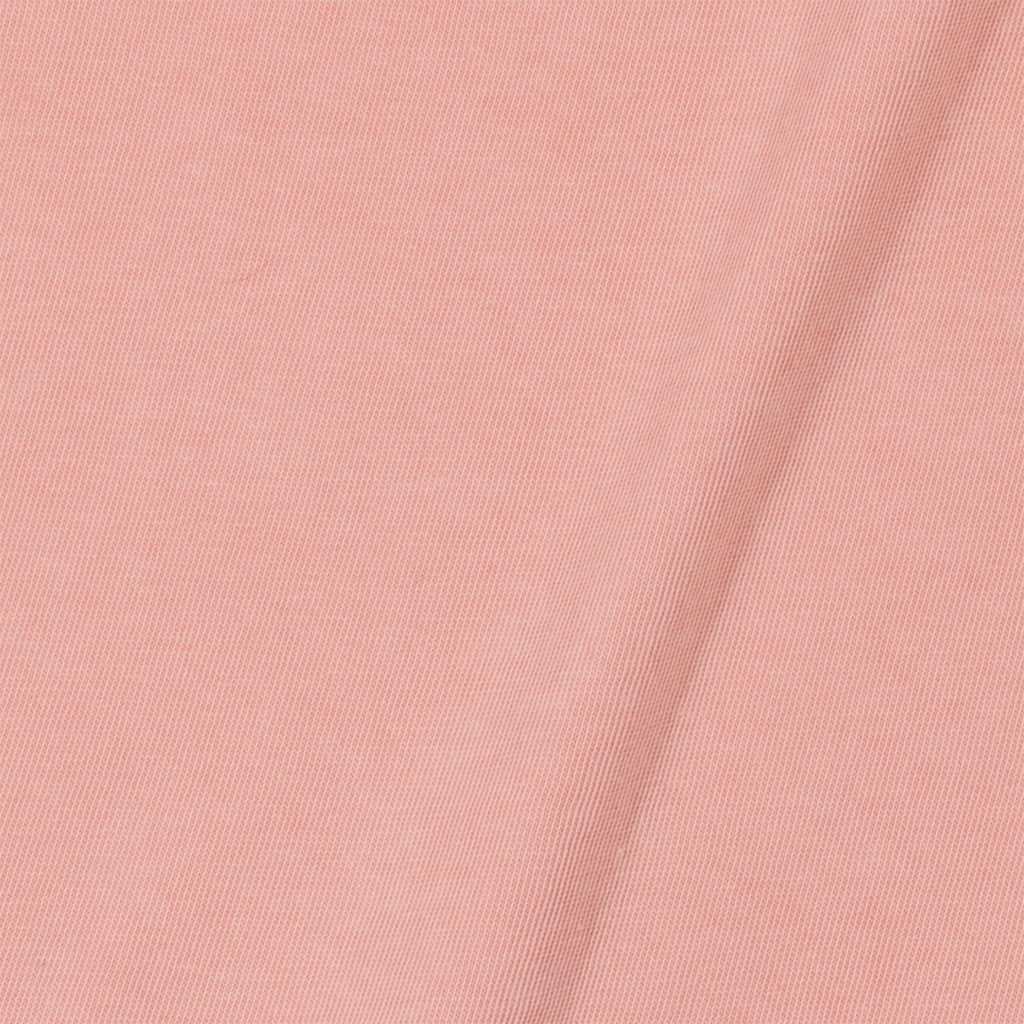 Heavyweight Pigment Tee